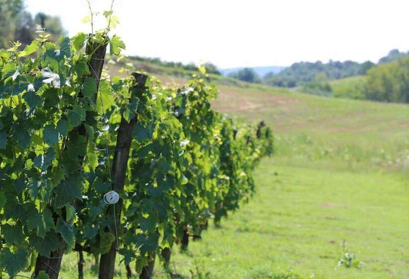 בית מלון כפרי Podere Della Bruciata B&b