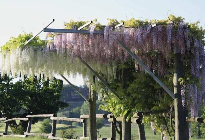 בית מלון כפרי Podere Della Bruciata B&b