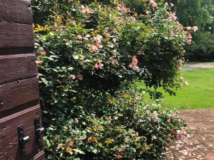 بنسيون Villa Camilla