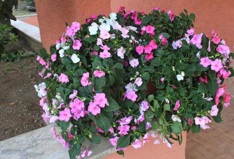 Nocleg ze śniadaniem Il Sottosopra