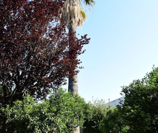 تختخواب و صبحانه Giardino Arancio