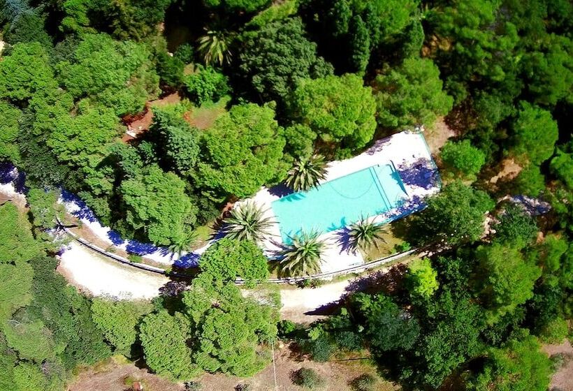 בית מלון כפרי Agriturismo Poggio Al Pino