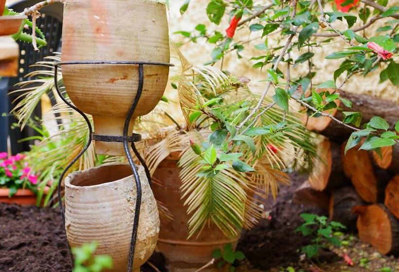 B&b Il Melograno Antico Con Terrazza E Giardino