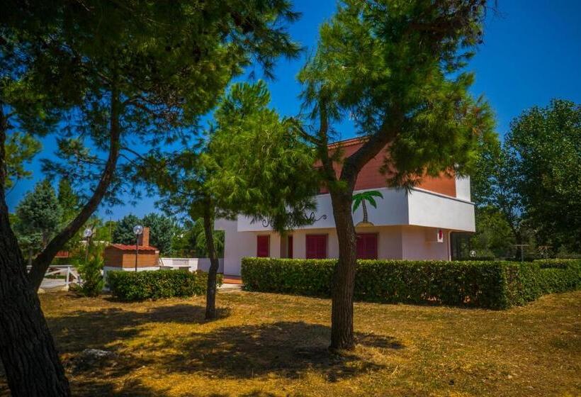 Bed and Breakfast Paradise Beb