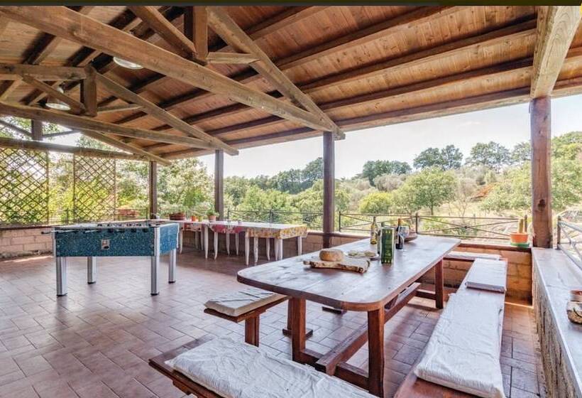 田舎風ホテル Bio Agriturismo Il Cavone