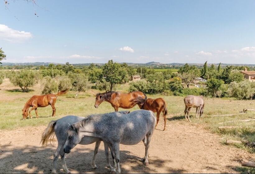 田舎風ホテル Bio Agriturismo Il Cavone