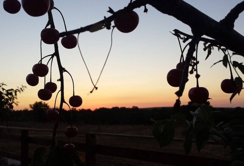 فندق ريفى Iazzo Annunziatella