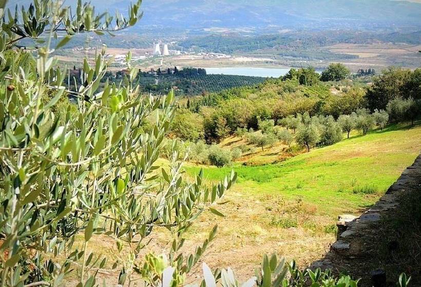 田舎風ホテル B&b Amoliv