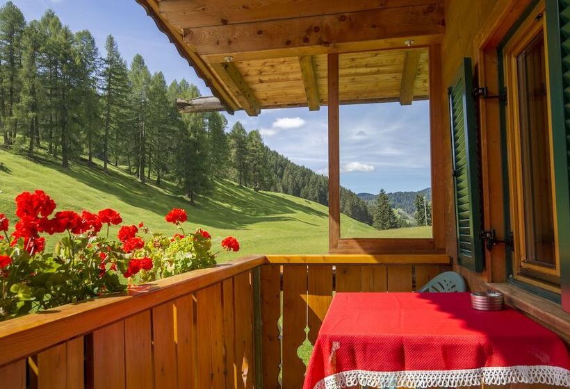 هتل Villa Insam