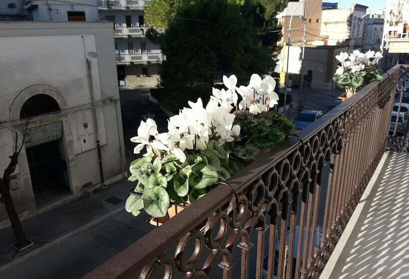 B&b Saffi