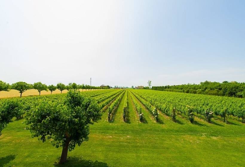 فندق ريفى Agriturismo Albafiorita