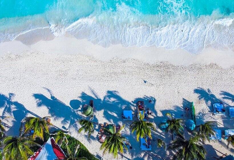 استراحتگاه Grand Oasis Cancun