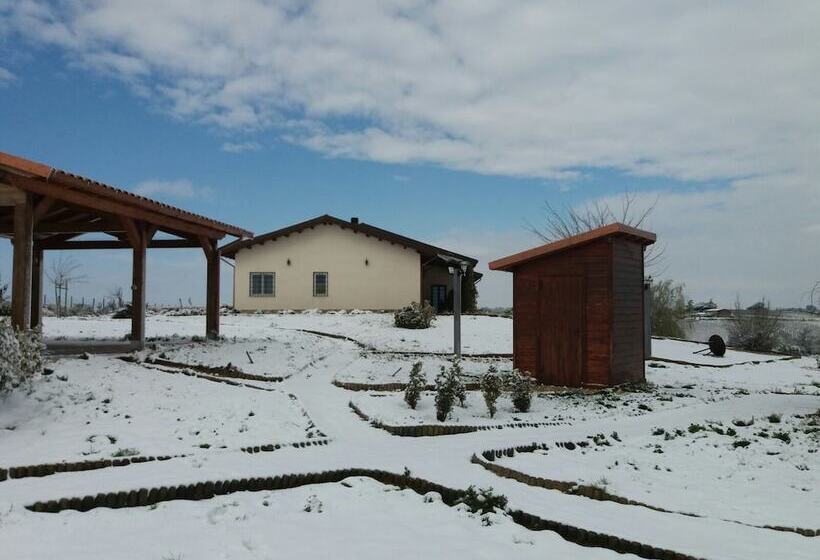 مبيت وإفطار La Collina Delle Fonti