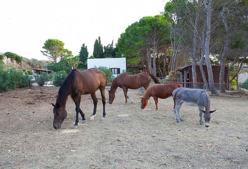 مبيت وإفطار Villa Panoramica Sul Mare