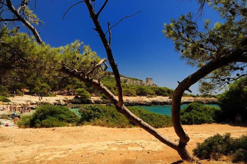 تختخواب و صبحانه Villa Salentina
