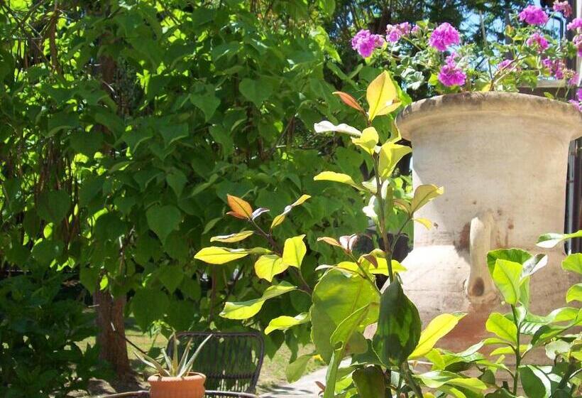 مبيت وإفطار Bed & Tours Dimora Di Campagna