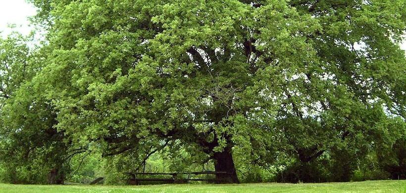 فندق ريفى Poggio Del Castagno