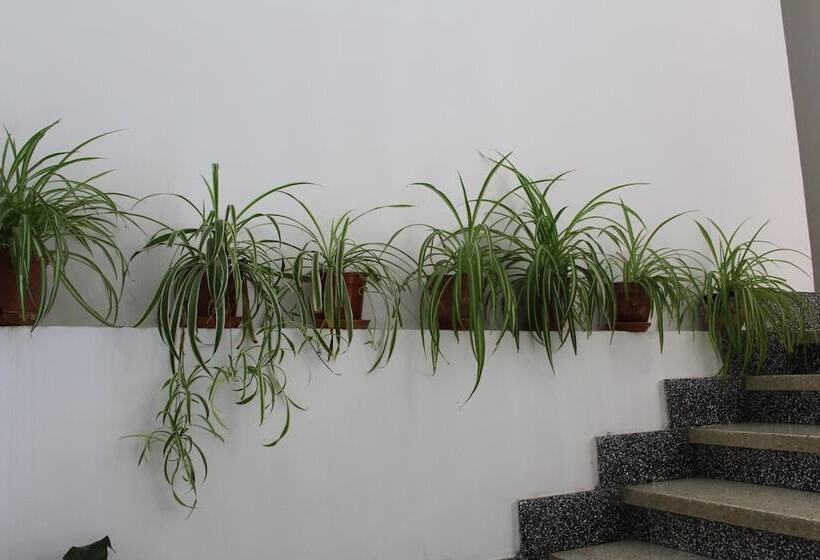 Pension Peperillo