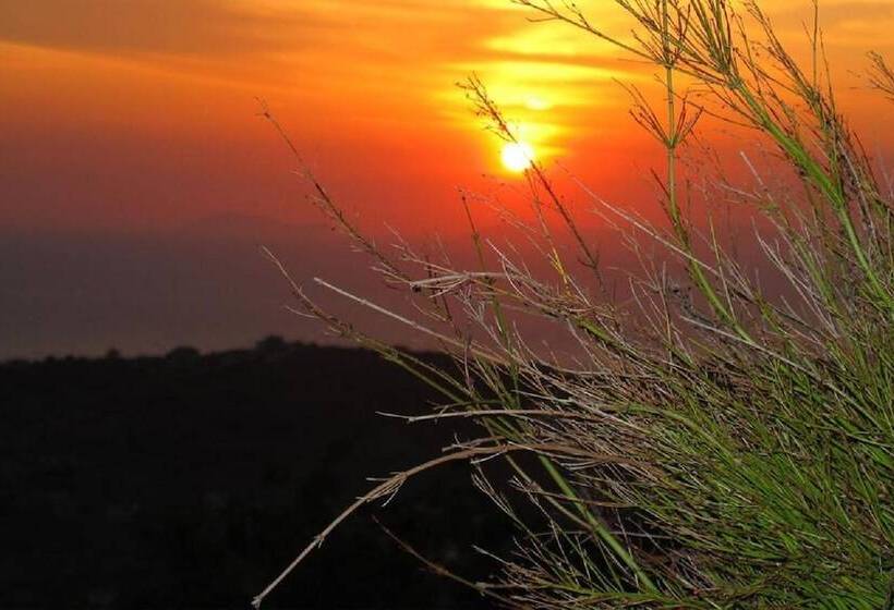 B&b Il Giardino Di Armida