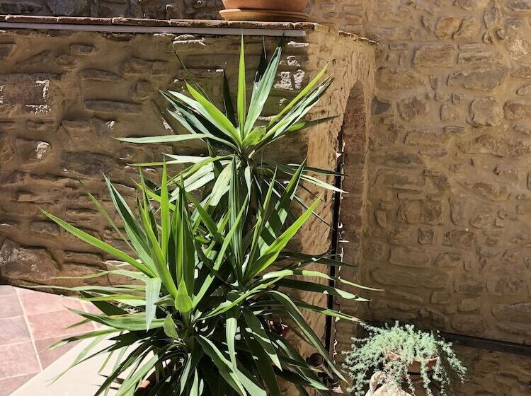 ベッドアンドブレックファースト Pozzo Medievale