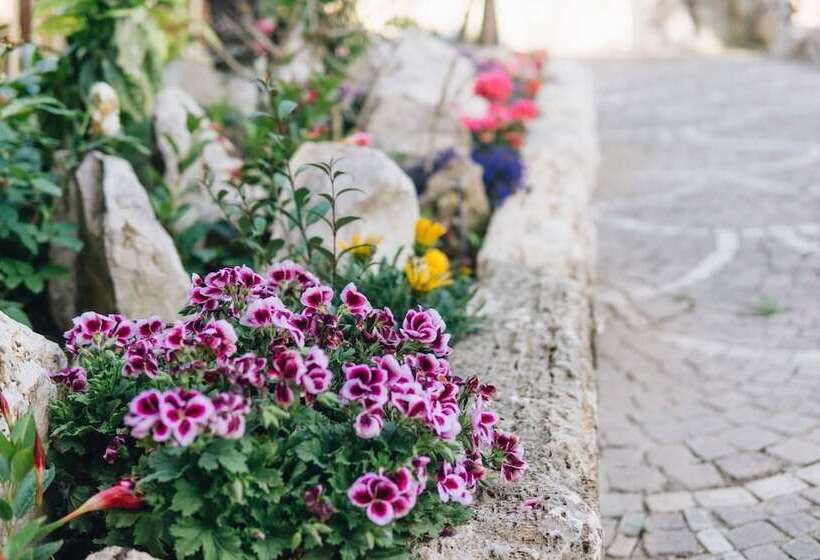 تختخواب و صبحانه Resort La Magnolia