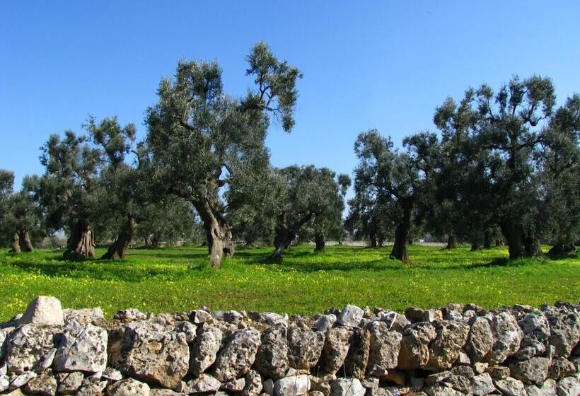 ベッドアンドブレックファースト Salento Ca  D Architetto