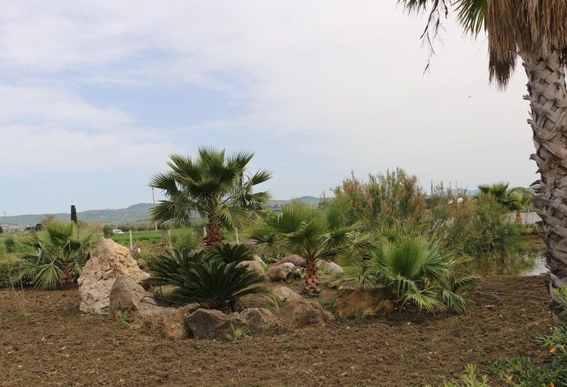 مبيت وإفطار Villa Delle Palme Delfina