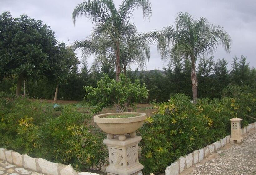 مبيت وإفطار Villa Delle Palme Delfina