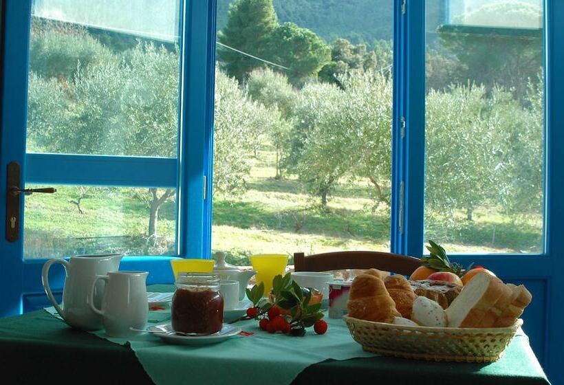 تختخواب و صبحانه Villa Sos Pisches