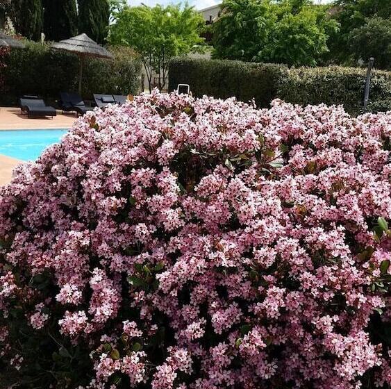 فندق ريفى Agriturismo Bonzalone