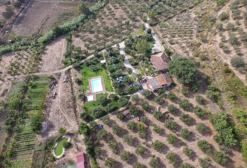هتل روستایی La Gabbianella E Il Gatto