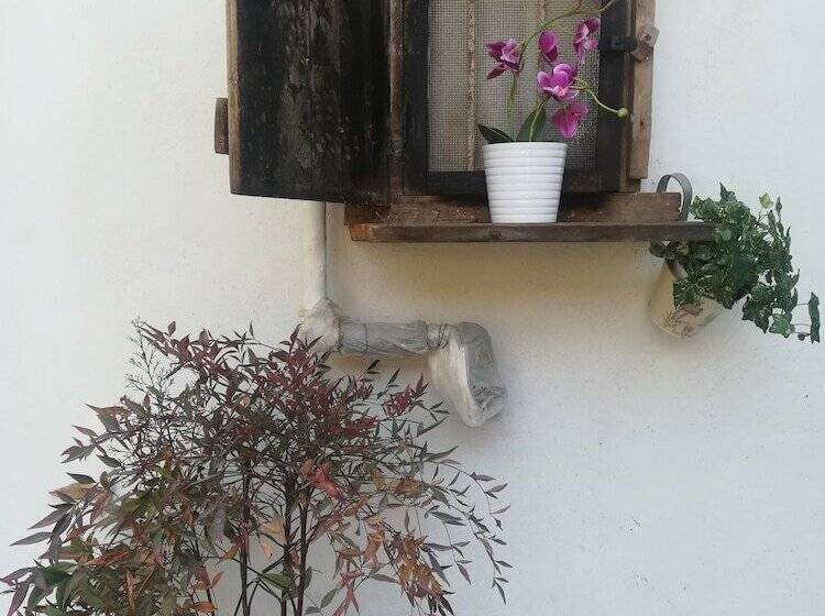 פנסיון Le Camere Di Aladino