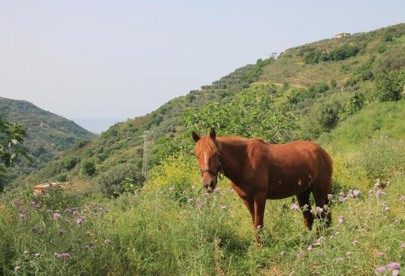 ベッドアンドブレックファースト Locanda La Corte