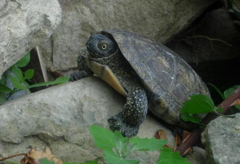 ベッドアンドブレックファースト Locanda La Corte