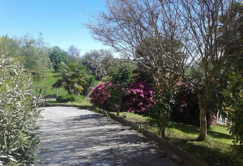 مبيت وإفطار Swanlake Rooms