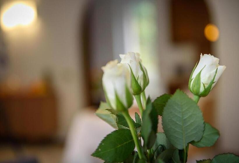 Bed And Breakfast Sweet Home