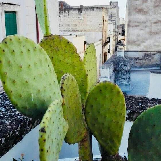 ベッドアンドブレックファースト Il Borgo