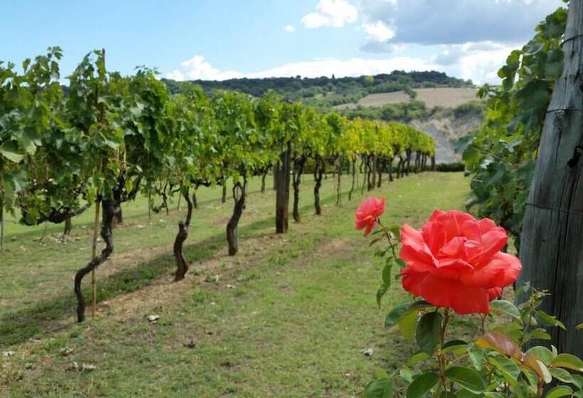 Сельский отель I Sicomori   Seme Di Carota   Glamping E Appartamenti Con Piscina A Saturnia