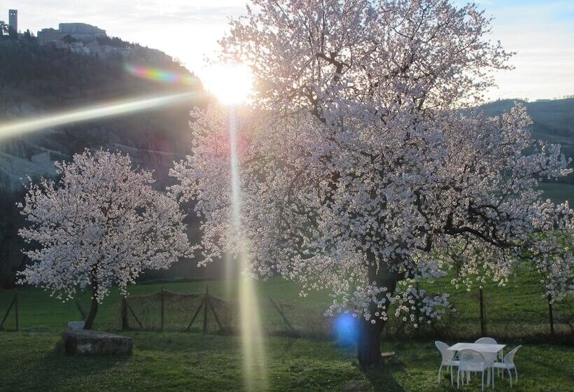 B&b La Boscara