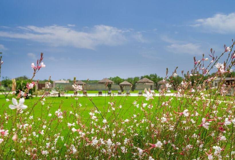 민박 Masseria La Gresca