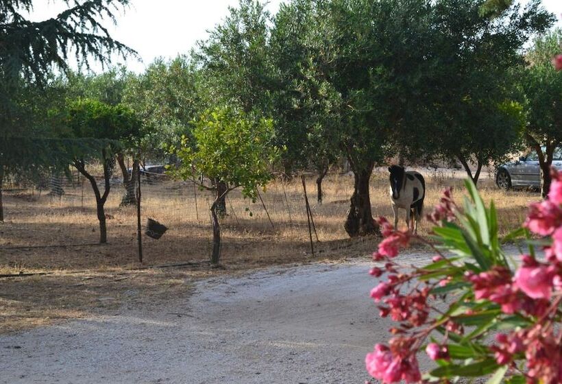 مسافرخانه Case Vacanze La Giara