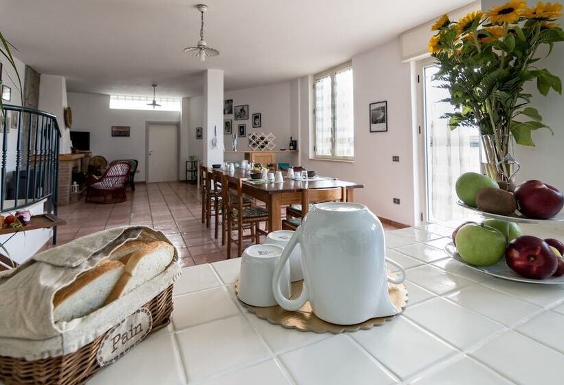 B&b Belvedere