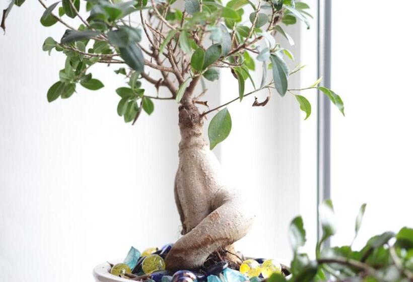 Пансион Bnb Notte Stellata