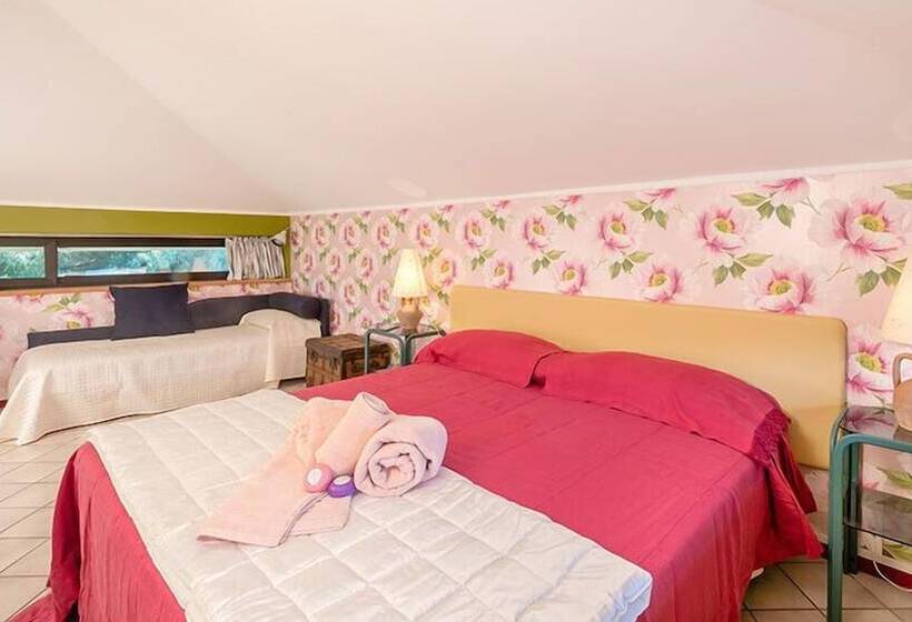 B&b Le Carrozze