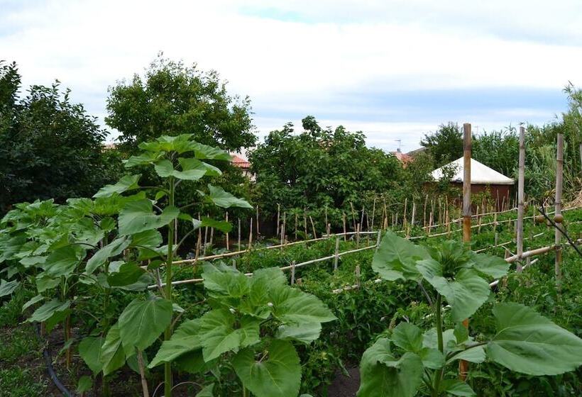 Bed and Breakfast Su Cantaru Guesthouse