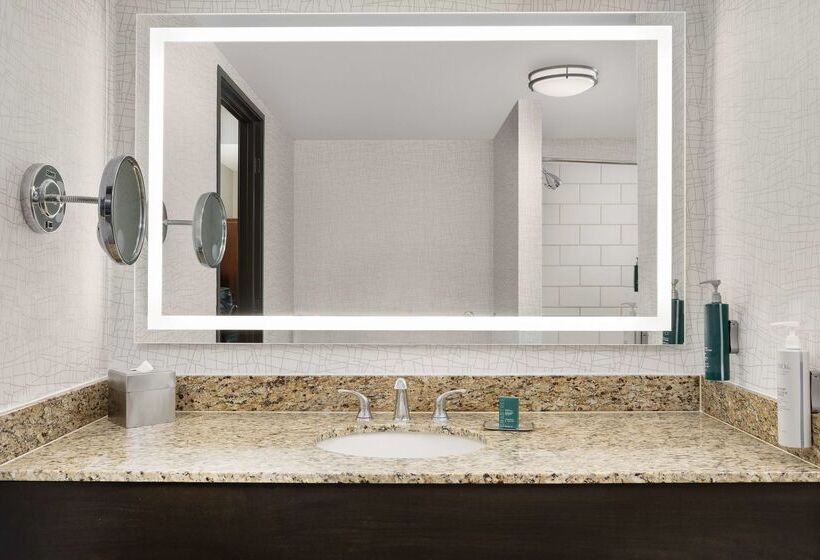 هتل Doubletree By Hilton Chicago O Hare Airport  Rosemont