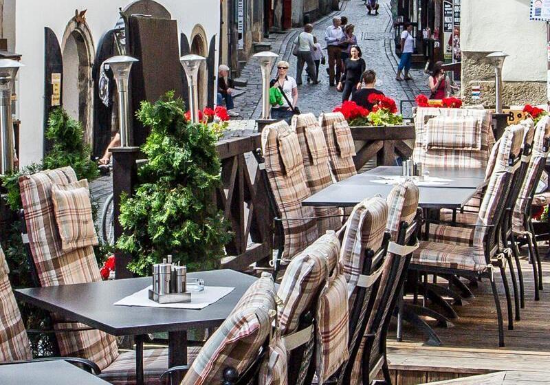 هتل Dvorak Cesky Krumlov