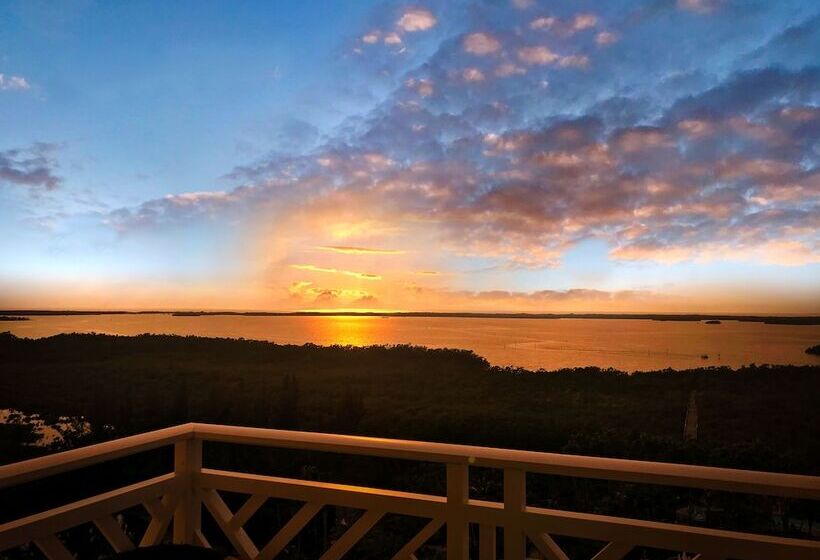 فندق Hyatt Regency Coconut Point Resort & Spa Near Naples