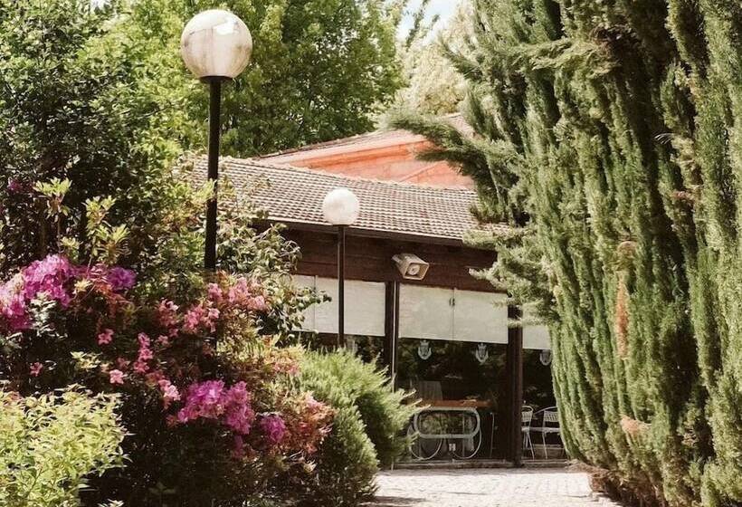 田舎風ホテル De Charme Quinta Do Pinheiro