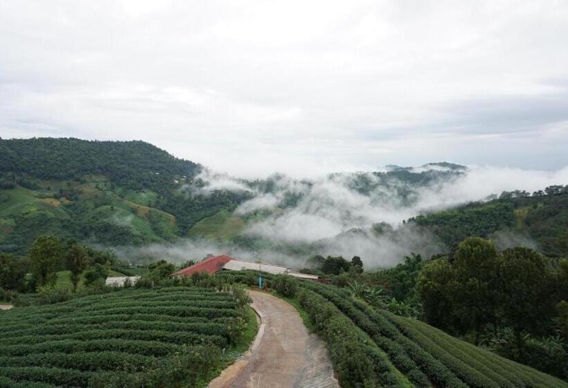 هتل 101 Tea Green View